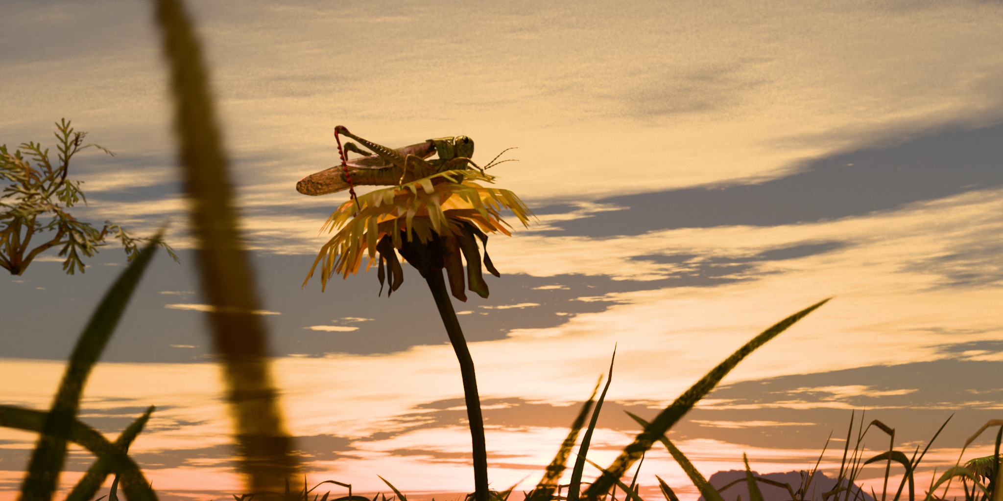 Sunflower Field